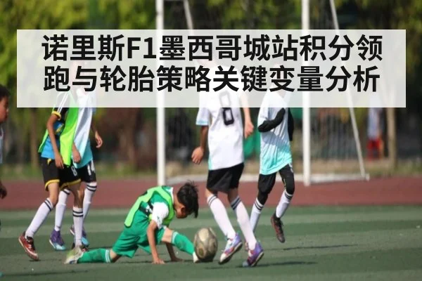 诺里斯F1墨西哥城站积分领跑与轮胎策略关键变量分析